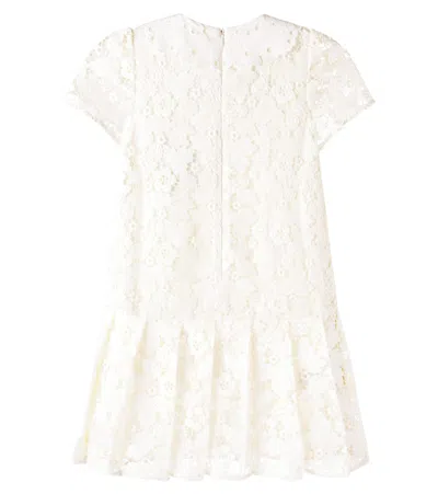 花卉蕾丝连衣裙