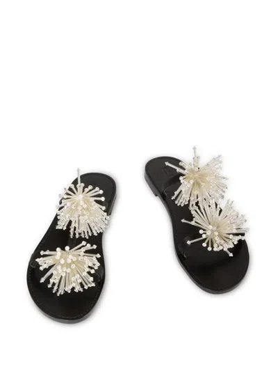 Pucci Embroidered Slides In Black