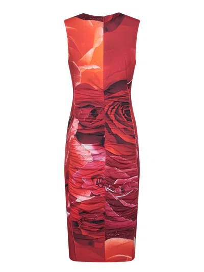Roberto Cavalli Rose-print Midi Dress In Red