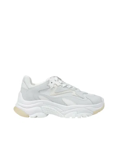Ash White Addict Sneakers In White