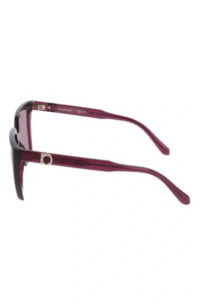 Ferragamo 54mm Modified Rectangular Sunglasses In Transparent Burgundy
