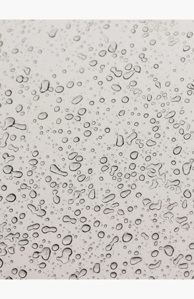 Botanicary No. 2 Refresh Orchid Stem Cell & Vitamin C Essence Facial Mist In Brown