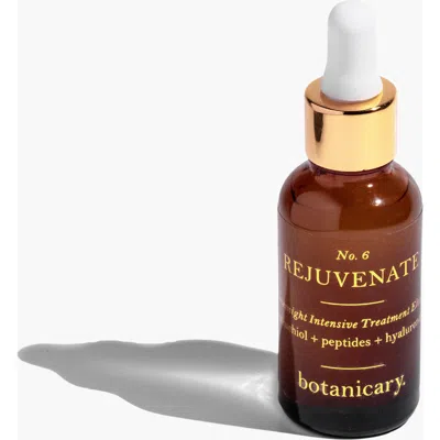 Botanicary No. 6 Rejuvenate Overnight Intensive Treatment Elixir In Amber Brown