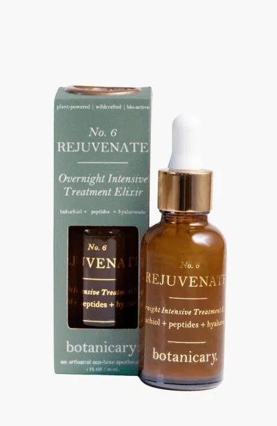Botanicary No. 6 Rejuvenate Overnight Intensive Treatment Elixir In Amber Brown