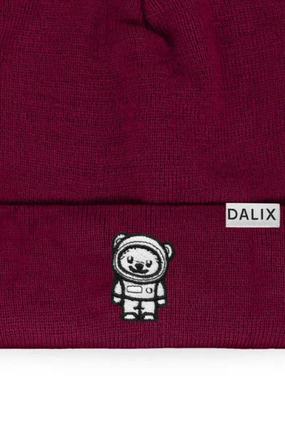Dalix Ice Bear Beanie In Maroon