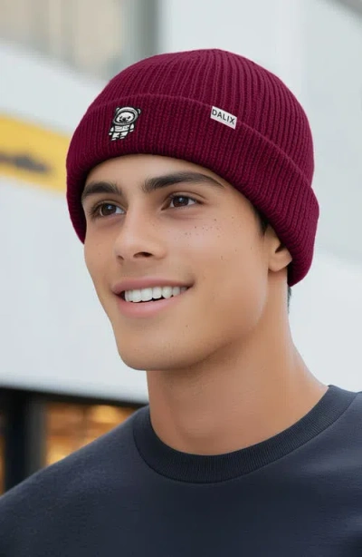 Dalix Ice Bear Beanie In Maroon