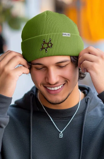 Dalix Molecule Beanie In Olive