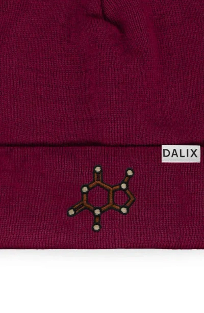 Dalix Molecule Beanie In Maroon