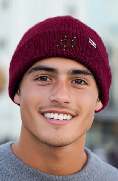 Dalix Molecule Beanie In Maroon