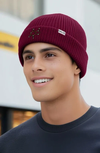Dalix Molecule Beanie In Maroon