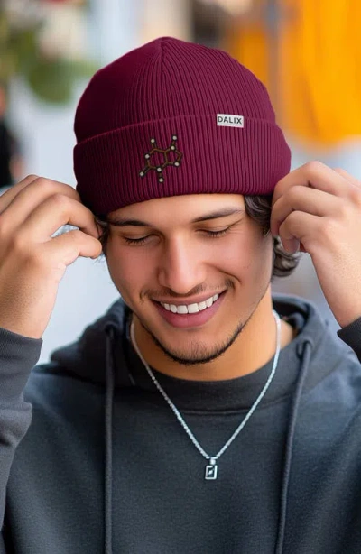 Dalix Molecule Beanie In Maroon