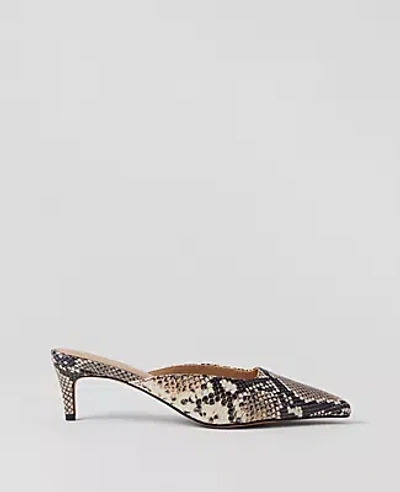 Ann Taylor Snake Print Nip Toe Kitten Heel Mule Pumps In Black