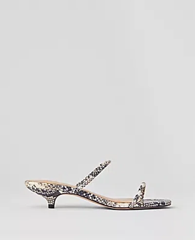 Ann Taylor Snake Print Double Strap Block Heel Sandals In Black