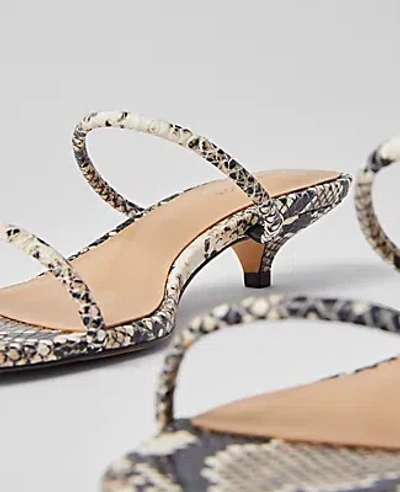 Ann Taylor Snake Print Double Strap Block Heel Sandals In Black