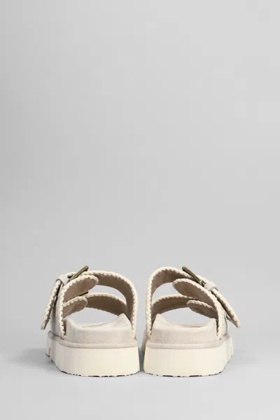 Mou Low Bio Flats In Grey Suede In Grey