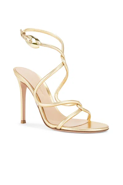 Gianvito Rossi Ankle Strap Sandal In Mekong & Transparent