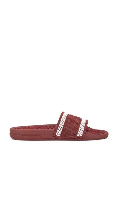Apl Athletic Propulsion Labs Big Logo Techloom Slide In Bordeaux & Chalk