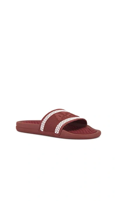 Apl Athletic Propulsion Labs Big Logo Techloom Slide In Bordeaux & Chalk