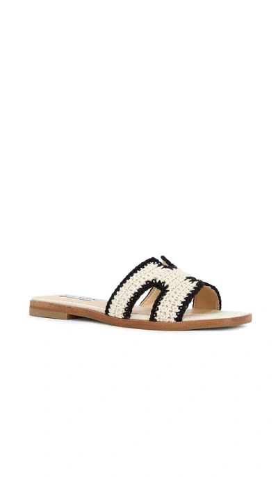 Steve Madden Hadyn In Multi