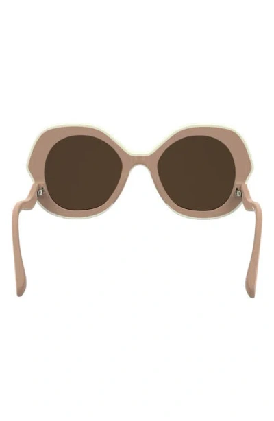 Longchamp 52mm Oval Sunglasses In Nude