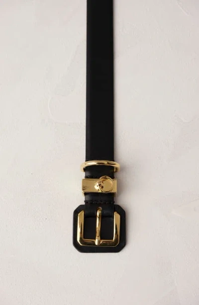 Dehanche Déhanche Jolinard Leather Belt In Black/gold