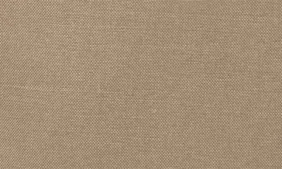 Osprey Arcane Small Day Pack In Latte Brown