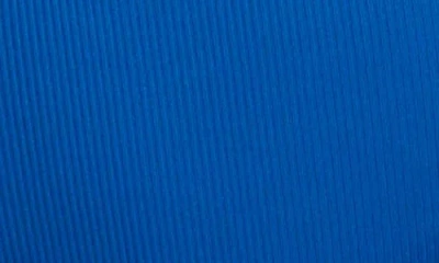 Robin Piccone Amy Side Tab Bikini Bottoms In Delphinium