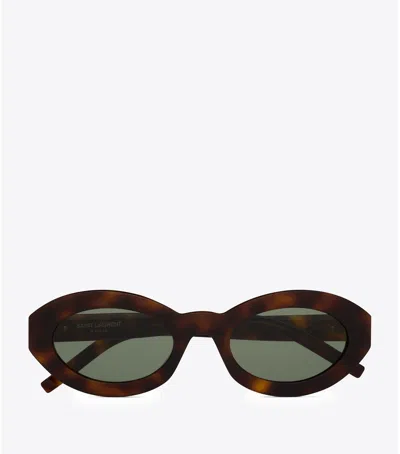 Saint Laurent Tiny Cassandre Oval Sunglasses In Brown