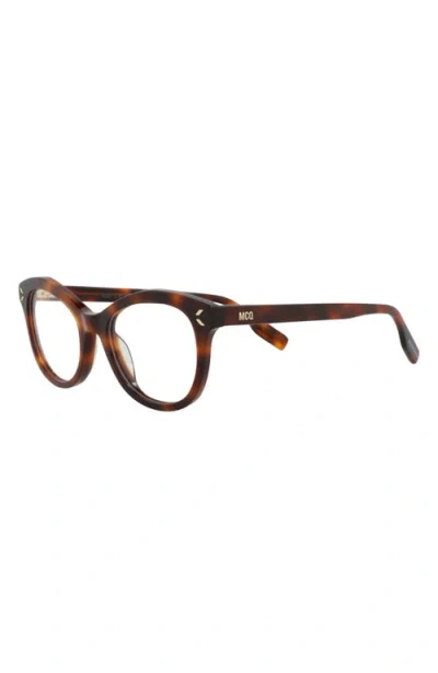 Alexander Mcqueen Mcqueen 47mm Cat Eye Optical Glasses In Havana Havana Transparent