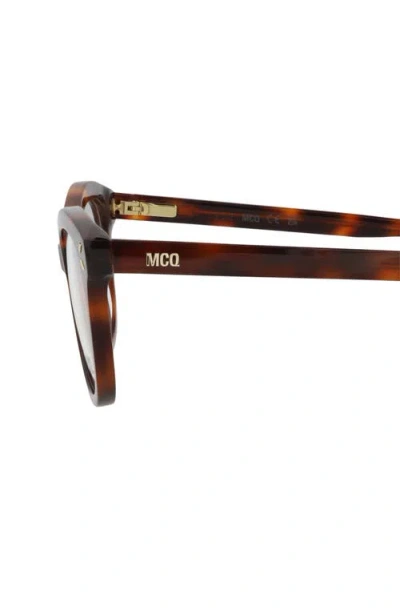 Alexander Mcqueen Mcqueen 47mm Cat Eye Optical Glasses In Havana Havana Transparent