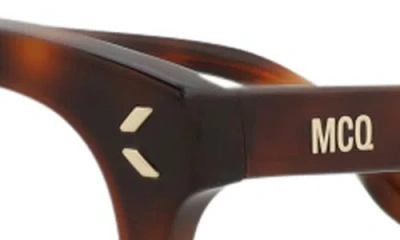 Alexander Mcqueen Mcqueen 47mm Cat Eye Optical Glasses In Havana Havana Transparent