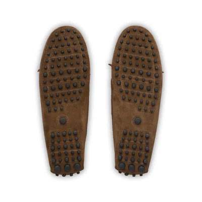 Car Shoe Brown Suede Loafer