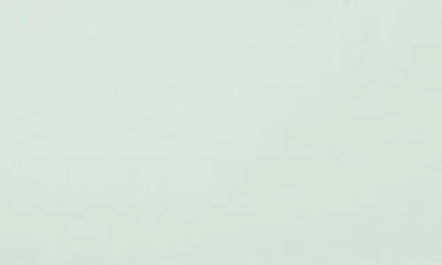 Caraway Enameled Cast Iron 10.5 Skillet In Mist