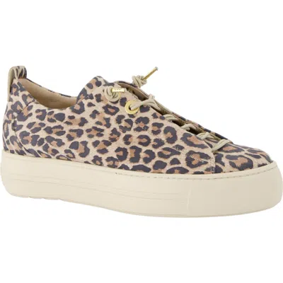 Paul Green Zena Leopard Print Platform Sneaker In Leopardino Desert