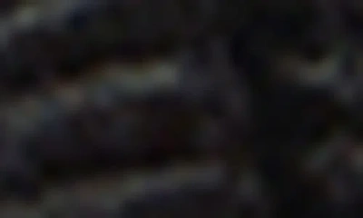 The Row Dune Thong Sandals In Scarlet