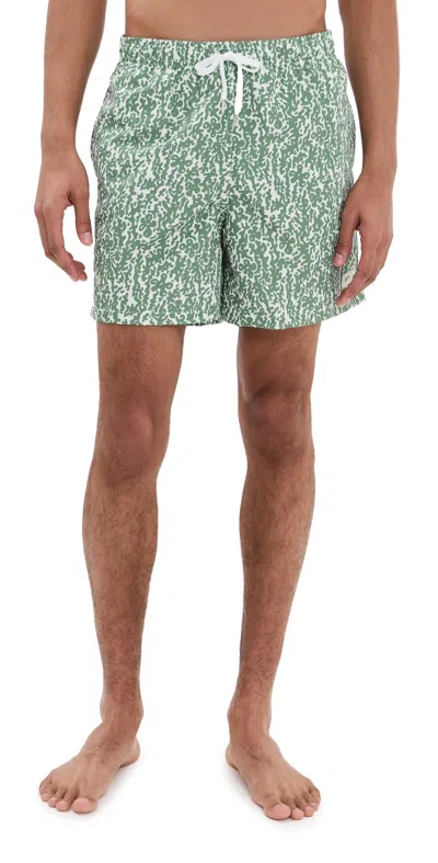 Bather Thyme Tropic Camo Swim Trunks 5.5 Green In Green