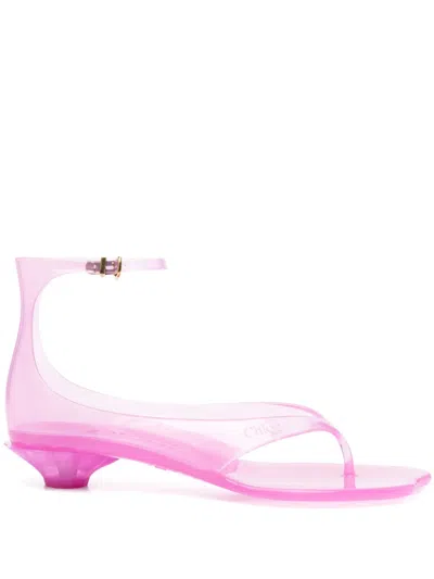 Chloé Chloe Women Fluo Pink Tpu Chloe Jelly Thong Sandals In Pink Fizz