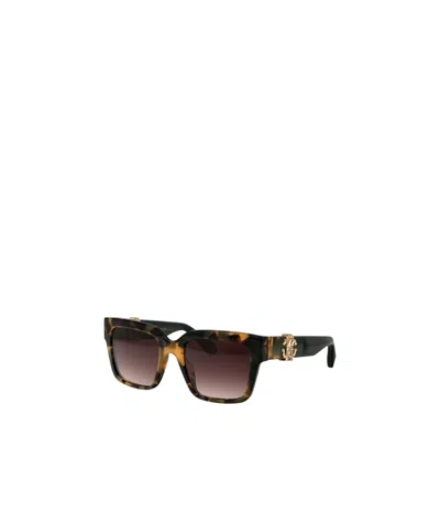 Roberto Cavalli Brown Acetate Sunglasses In Black