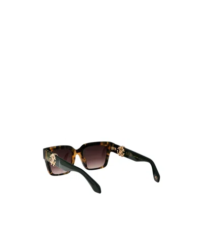 Roberto Cavalli Brown Acetate Sunglasses In Black