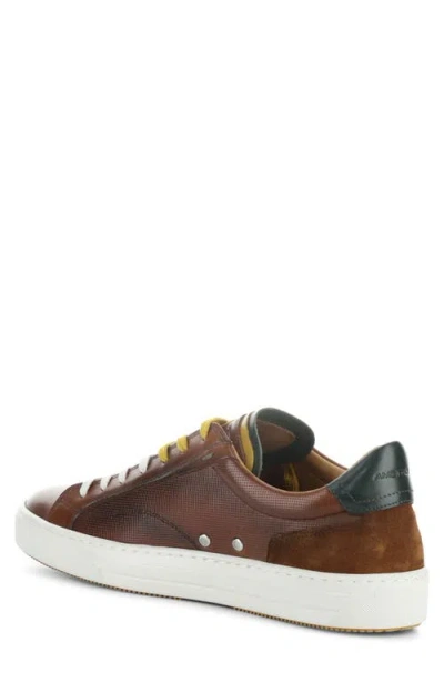 Ambitious 11218 Low Top Sneaker In Brown