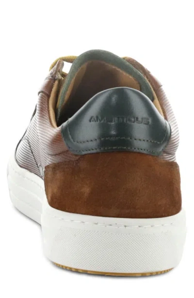 Ambitious 11218 Low Top Sneaker In Brown