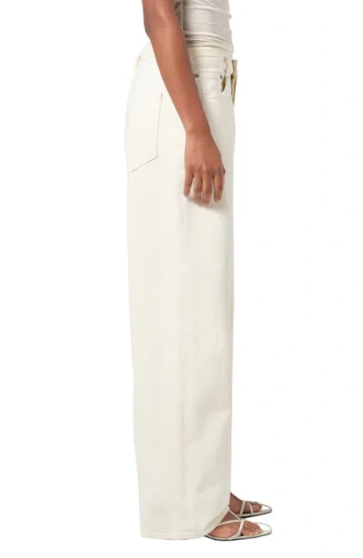 Agolde Dame Wide Leg Jeans In Solar