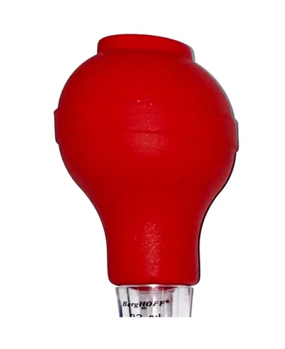 Berghoff Essentials Set Of 5 Turkey Baster In Red
