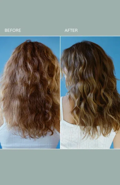 Roz Foundation Shampoo In No Color