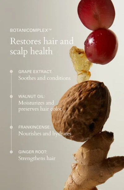 Roz Foundation Shampoo In No Color