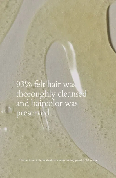 Roz Foundation Shampoo In No Color