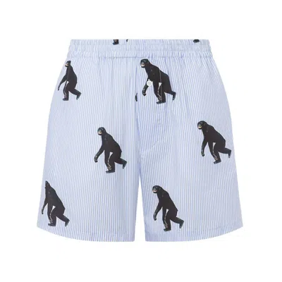 Moschino Striped Poplin Bermuda Allover Chimpanzee