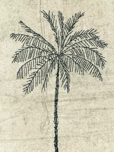 Jacquemus Cruise Towel With Palm Tree Embroidery