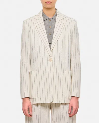Max Mara Embroidered Stripes Cotton Blend Blazer In Neutral