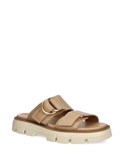 Sorel Rein Cb Platform Slide Sandal In Neutral